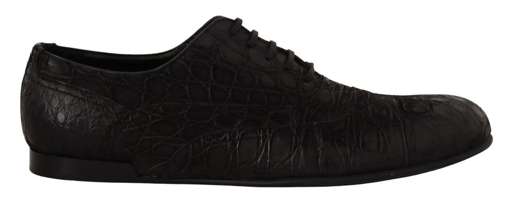 Dolce & Gabbana Schwarzes Kaimanleder Herren Oxford Schuhe