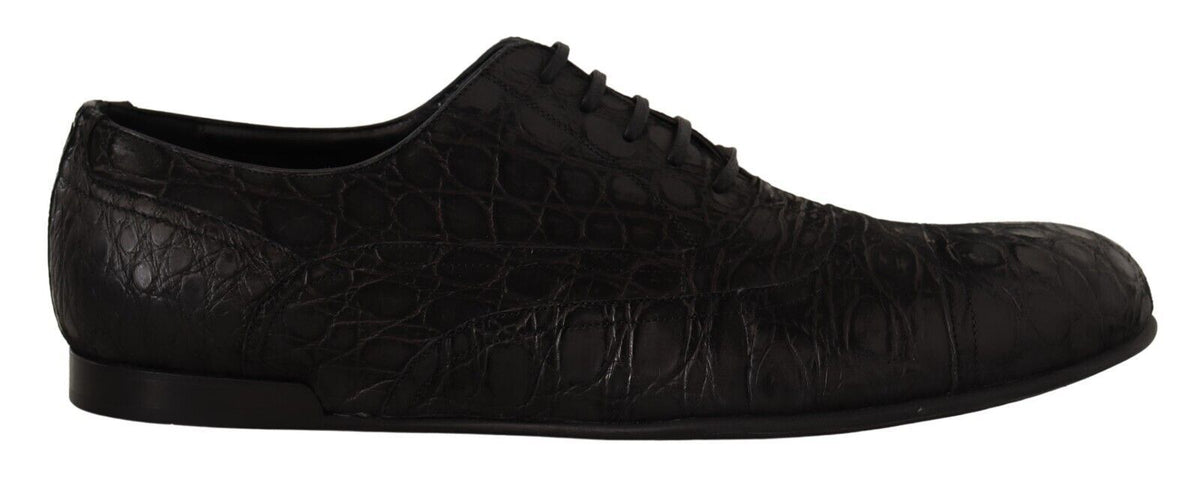 Dolce & Gabbana Schwarzes Kaimanleder Herren Oxford Schuhe