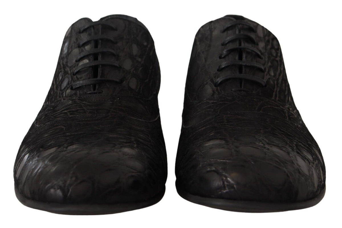 Dolce & Gabbana Schwarzes Kaimanleder Herren Oxford Schuhe