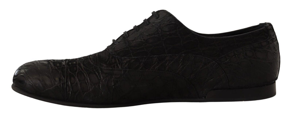 Dolce & Gabbana Schwarzes Kaimanleder Herren Oxford Schuhe